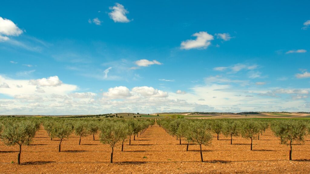 SAP Labs Latin America impulsa la innovación en el agronegocio con IA