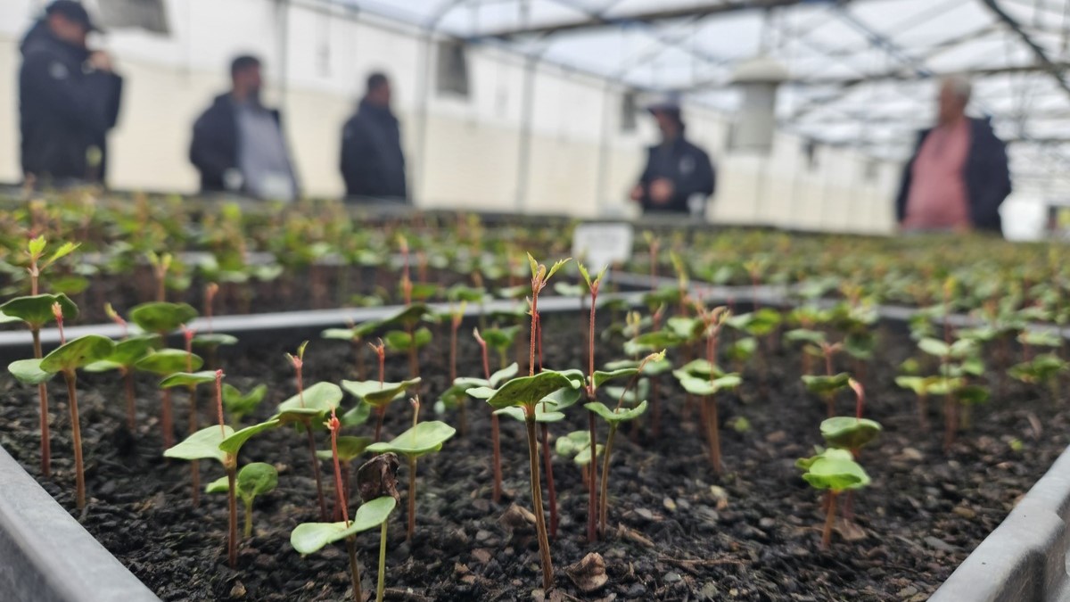 En el marco del Día de la Tierra, Epson reafirma su compromiso con la sostenibilidad a través de su Visión Ambiental 2050, una estrategia que impulsa innovaciones diseñadas para reducir drásticamente el impacto ambiental.